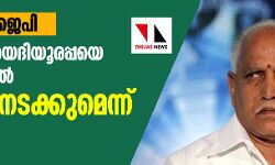 കര്‍ണാടക: യെദിയൂരപ്പയെ മാറ്റിയില്ലെങ്കില്‍ അട്ടിമറി നടക്കുമെന്ന് വിമതര്‍;    അമ്പരന്ന് ബിജെപി