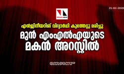 എന്‍ജിനീയറിങ് വിദ്യാര്‍ഥി കുത്തേറ്റു മരിച്ചു; മുന്‍ എംഎല്‍എയുടെ മകന്‍ അറസ്റ്റില്‍