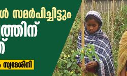 15 രേഖകള്‍ സമര്‍പിച്ചിട്ടും പൗരത്വത്തിന് പുറത്ത് : ആശയറ്റ് അസം സ്വദേശിനി