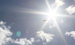 เดจเดพเดฒเต เดเดฟเดฒเตเดฒเดเดณเดฟเตฝ เดจเดพเดณเต เดคเดพเดชเดจเดฟเดฒ เดเดฏเดฐเดพเตป เดธเดพเดงเตเดฏเดค เดจเดพเดฒเต เดเดฟเดฒเตเดฒเดเดณเดฟเตฝ เดจเดพเดณเต เดคเดพเดชเดจเดฟเดฒ เดเดฏเดฐเดพเตป เดธเดพเดงเตเดฏเดค