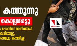 ഡല്‍ഹി കത്തുന്നു; നാലു പേര്‍ കൊല്ലപ്പെട്ടു, രാത്രി വൈകിയും പോലിസ് വെടിവയ്പ്; നിരവധി പേര്‍ക്ക് വെടിയേറ്റു, വീടുകളും വാഹനങ്ങളും കത്തിച്ചു
