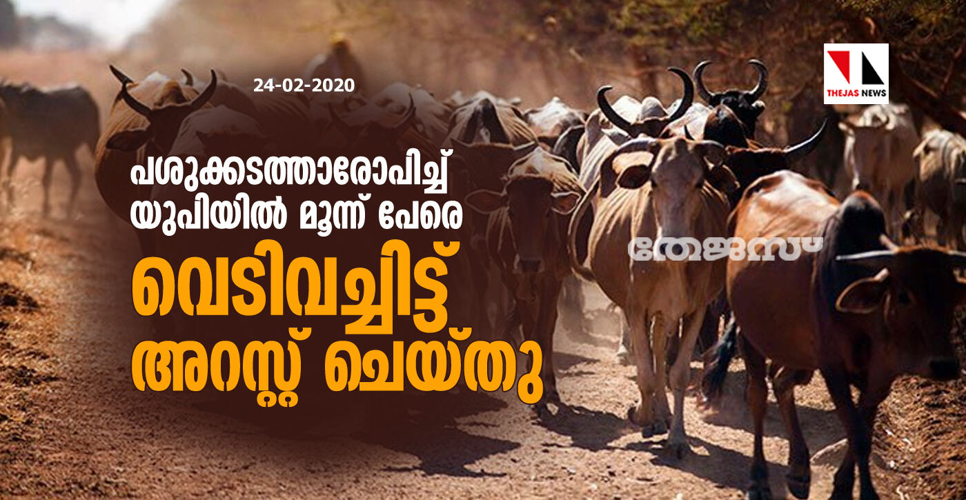 പശുക്കടത്താരോപിച്ച് മൂന്ന് പേരെ യുപിയിൽ വെടിവച്ചിട്ട് അറസ്റ്റ് ചെയ്തു.