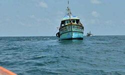 เดตเดฒเดฟเดฏเดคเตเดฑเดฏเดฟเตฝ เดตโเดณเตเดณเด เดฎโเดฑเดฟโเดเตเดเต เดฎโเดคเตเดธเตเดฏโเดคเตเดคเตเดพโเดดเดฟโเดฒเดพโเดณเดฟ เดฎโเดฐเดฟโเดเตเดเต เดตเดฒเดฟเดฏเดคเตเดฑเดฏเดฟเตฝ เดตโเดณเตเดณเด เดฎโเดฑเดฟโเดเตเดเต เดฎโเดคเตเดธเตเดฏโเดคเตเดคเตเดพโเดดเดฟโเดฒเดพโเดณเดฟ เดฎโเดฐเดฟโเดเตเดเต