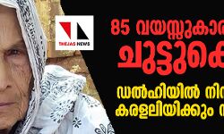 85 വയസ്സുകാരിയെ വരെ ചുട്ടുകൊന്നു; ഡല്‍ഹിയില്‍ നിന്നുയരുന്നത് കരളലിയിക്കും നിലവിളികള്‍
