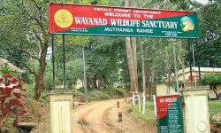 കാട്ടുതീ ഭീതി; വയനാട് വന്യജീവി സങ്കേതത്തില് പ്രവേശനത്തിന് നിരോധനം കാട്ടുതീ ഭീതി; വയനാട് വന്യജീവി സങ്കേതത്തില് പ്രവേശനത്തിന് നിരോധനം