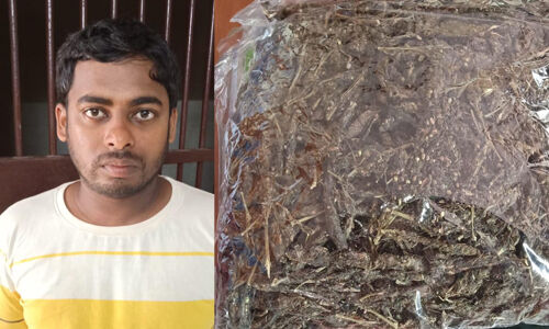 കഞ്ചാവുമായി പശ്ചിമബംഗാള്‍ സ്വദേശി പിടിയില്‍