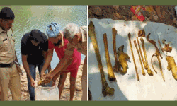 เดชเดพเดฒเดคเตเดคเดฟเดจเดเดฟเดฏเดฟเดฒเตโ เดจเดฟเดจเตเดจเต เดฎเดจเตเดทเตเดฏเดจเตเดฑเต เด
เดธเตเดฅเดฟเดเดณเตโ เดเดฃเตเดเตเดเตเดคเตเดคเต เดชเดพเดฒเดคเตเดคเดฟเดจเดเดฟเดฏเดฟเดฒเตโ เดจเดฟเดจเตเดจเต เดฎเดจเตเดทเตเดฏเดจเตเดฑเต เด
เดธเตเดฅเดฟเดเดณเตโ เดเดฃเตเดเตเดเตเดคเตเดคเต