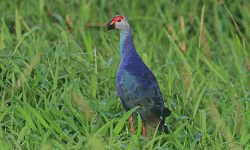 เดจเตเดฒเตโเดเตเดทเดฟเดเตเดเต เดญเตเดทเดฃเดฟเดฏเดพเดฏเดฟ เดจเตเดฒเดเตเดเตเดดเดฟเดเดณเตเดเต เดเดเตเดฐเดฎเดฃเด เดจเตเดฒเตโเดเตเดทเดฟเดเตเดเต เดญเตเดทเดฃเดฟเดฏเดพเดฏเดฟ เดจเตเดฒเดเตเดเตเดดเดฟเดเดณเตเดเต เดเดเตเดฐเดฎเดฃเด