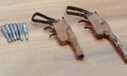 തളങ്കരയില്‍ തോക്കുകളും വെടിയുണ്ടകളും കണ്ടെത്തി