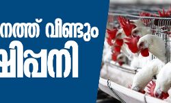സംസ്ഥാനത്ത് വീണ്ടും പക്ഷിപ്പനി