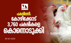 പക്ഷിപ്പനി: കോഴിക്കോട് 3760 പക്ഷികളെ കൊന്നൊടുക്കി