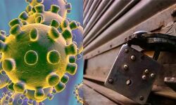 ഉത്തരവ് നല്കിയിട്ടും അംഗീകരിച്ചില്ല; കോവിഡ് ബാധിതര് ചികില്സയ്ക്കെത്തിയ ക്ലിനിക് കലക്ടര് നേരിട്ടെത്തി പൂട്ടിച്ചു ഉത്തരവ് നല്കിയിട്ടും അംഗീകരിച്ചില്ല; കോവിഡ് ബാധിതര് ചികില്സയ്ക്കെത്തിയ ക്ലിനിക് കലക്ടര് നേരിട്ടെത്തി പൂട്ടിച്ചു