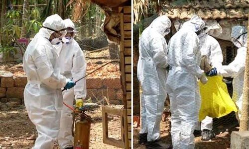 കോഴിക്കോട് പക്ഷിപ്പനി: പക്ഷികളെ കൊല്ലുന്നതിന്റെ രണ്ടാംഘട്ടം ഇന്ന് തുടങ്ങും കോഴിക്കോട് പക്ഷിപ്പനി: പക്ഷികളെ കൊല്ലുന്നതിന്റെ രണ്ടാംഘട്ടം ഇന്ന് തുടങ്ങും