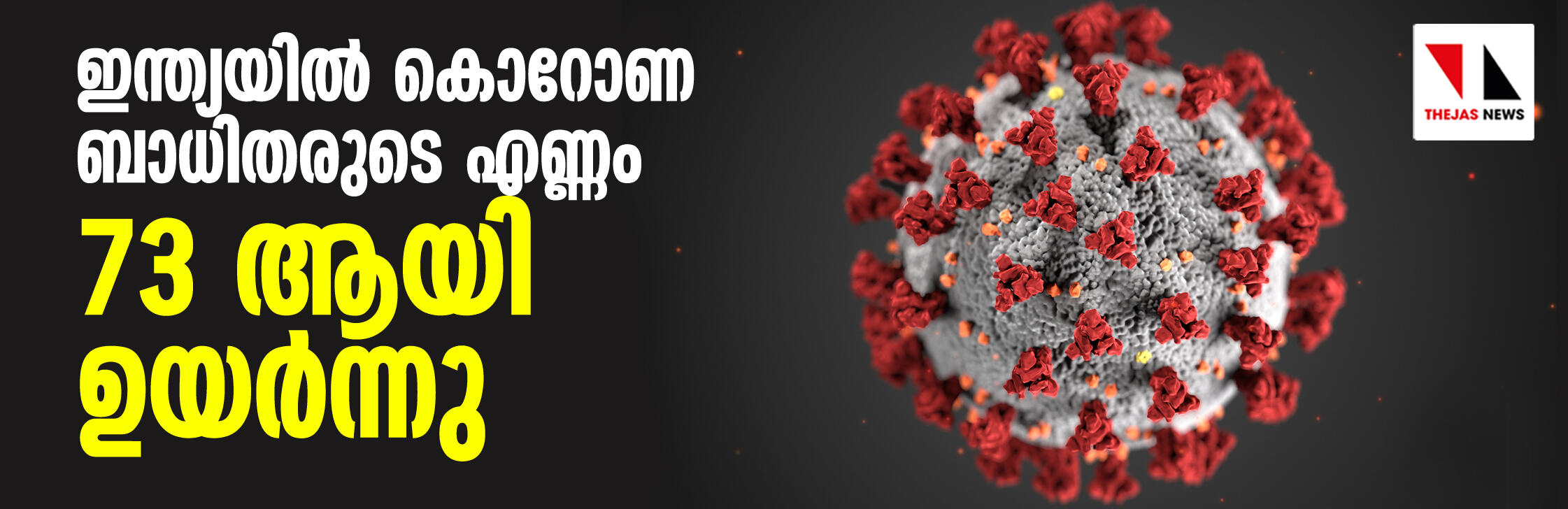 ഇന്ത്യയില് കൊറോണ ബാധിതരുടെ എണ്ണം 73 ആയി ഉയര്ന്നു ഇന്ത്യയില് കൊറോണ ബാധിതരുടെ എണ്ണം 73 ആയി ഉയര്ന്നു