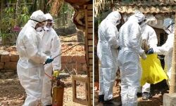 കോഴിക്കോട് പക്ഷിപ്പനി: പക്ഷികളെ കൊല്ലുന്നതിന്റെ രണ്ടാംഘട്ടം ഇന്ന് തുടങ്ങും കോഴിക്കോട് പക്ഷിപ്പനി: പക്ഷികളെ കൊല്ലുന്നതിന്റെ രണ്ടാംഘട്ടം ഇന്ന് തുടങ്ങും