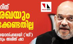 എന്‍പിആറിന് ഒരു രേഖയും സമര്‍പ്പിക്കേണ്ടതില്ല; ആരെയും സംശയാസ്പദമായി (ഡി) പ്രഖ്യാപിക്കില്ലെന്നും അമിത് ഷാ