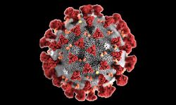 ബഹ്‌റൈനില്‍ നേഴ്‌സുമാരായ രണ്ട് മലയാളികള്‍ക്ക് കൊറോണ വൈറസ് ബാധ സ്ഥിരീകരിച്ചു