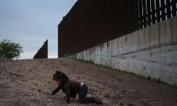 യുഎസ്-മെക്‌സിക്കോ അതിര്‍ത്തി മതിലില്‍ നിന്ന് വീണ് ഗര്‍ഭിണി മരിച്ചു