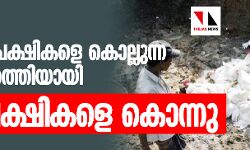 പക്ഷിപ്പനി: വളര്‍ത്തു പക്ഷികളെ കൊല്ലുന്ന ദൗത്യം പൂര്‍ത്തിയായി; 7427 പക്ഷികളെ കൊന്നു