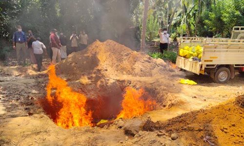 പരപ്പനങ്ങാടി പക്ഷിപ്പനി: ആദ്യഘട്ടത്തില് 528 പക്ഷികളെ കൊന്നു പരപ്പനങ്ങാടി പക്ഷിപ്പനി: ആദ്യഘട്ടത്തില് 528 പക്ഷികളെ കൊന്നു
