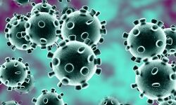 മലപ്പുറത്തെ കൊറോണ രോഗികള്‍ സന്ദര്‍ശിച്ച സഞ്ചാരപാത പുറത്തുവിട്ടു