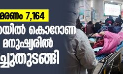 เดเตเดฑเตเดฃ เดฎเดฐเดฃเด 7164; เด
เดฎเตเดฐเดฟเดเตเดเดฏเดฟเดฒเตโ เดเตเดฑเตเดฃ เดตเดพเดเตโเดธเดฟเดจเตโ เดฎเดจเตเดทเตเดฏเดฐเดฟเดฒเตโ เดชเดฐเตเดเตเดทเดฟเดเตเดเตเดคเตเดเดเตเดเดฟ เดเตเดฑเตเดฃ เดฎเดฐเดฃเด 7164; เด
เดฎเตเดฐเดฟเดเตเดเดฏเดฟเดฒเตโ เดเตเดฑเตเดฃ เดตเดพเดเตโเดธเดฟเดจเตโ เดฎเดจเตเดทเตเดฏเดฐเดฟเดฒเตโ เดชเดฐเตเดเตเดทเดฟเดเตเดเตเดคเตเดเดเตเดเดฟ