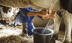 เดชเดพเดฒเตโ เดเดฒเตโเดชเดพเดฆเดจเดคเตเดคเดฟเดฒเต เดถเตเดเดฟเดคเตเดตเด เดเดฑเดชเตเดชเดพเดเตเดเดพเดจเตโ เดฎเดฟเดฒเตโเดฎ; เดเดฐเตโเดทเดเดฐเตโเดเตเดเต เดเดฐเตเดเตเดเดฟเดฏเตเดเต เดธเดฎเตเดฎเดพเดจเด เดชเดพเดฒเตโ เดเดฒเตโเดชเดพเดฆเดจเดคเตเดคเดฟเดฒเต เดถเตเดเดฟเดคเตเดตเด เดเดฑเดชเตเดชเดพเดเตเดเดพเดจเตโ เดฎเดฟเดฒเตโเดฎ; เดเดฐเตโเดทเดเดฐเตโเดเตเดเต เดเดฐเตเดเตเดเดฟเดฏเตเดเต เดธเดฎเตเดฎเดพเดจเด