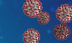 യുഎഇയിലേക്ക് പ്രവേശനം പഴയ താമസക്കാര്‍ക്ക് മാത്രമാക്കി