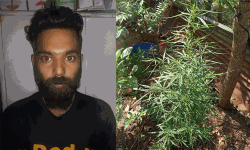 เดตเตเดเตเดเตเดตเดณเดชเตเดชเดฟเดฒเตโ เดเดเตเดเดพเดตเต เดเตเดเดฟเดเดณเตโ เดตเดณเดฐเตโเดคเตเดคเดฟเดฏ เดฏเตเดตเดพเดตเต เด
เดฑเดธเตเดฑเตเดฑเดฟเดฒเตโ เดตเตเดเตเดเตเดตเดณเดชเตเดชเดฟเดฒเตโ เดเดเตเดเดพเดตเต เดเตเดเดฟเดเดณเตโ เดตเดณเดฐเตโเดคเตเดคเดฟเดฏ เดฏเตเดตเดพเดตเต เด
เดฑเดธเตเดฑเตเดฑเดฟเดฒเตโ