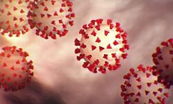 കൊവിഡ് പ്രതിരോധ പ്രവര്‍ത്തനം ഊര്‍ജ്ജിതമാക്കി കോഴിക്കോട് ജില്ലാ ഭരണകൂടം; 1668 സ്‌ക്വാഡുകള്‍ രംഗത്ത്