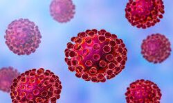 ഇറ്റാലിയന്‍ പൗരന്റെ ഫലം നെഗറ്റീവ്