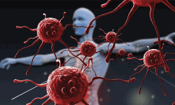 കുടകില്‍ ഒരാള്‍ക്ക് കൊറോണ സ്ഥിരീകരിച്ചു;  യാത്രാ വിലക്കേര്‍പ്പെടുത്തി വയനാട് ജില്ലാ ഭരണകൂടം