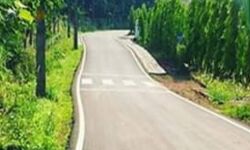 മുഖ്യമന്ത്രിയുടെ തദ്ദേശറോഡ് പുനരുദ്ധാരണ പദ്ധതി: ആദ്യഘട്ടത്തിന് 354.59 കോടിയുടെ ഭരണാനുമതി മുഖ്യമന്ത്രിയുടെ തദ്ദേശറോഡ് പുനരുദ്ധാരണ പദ്ധതി: ആദ്യഘട്ടത്തിന് 354.59 കോടിയുടെ ഭരണാനുമതി