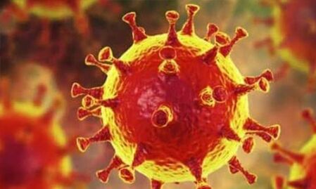 കൊവിഡ് 19: മലപ്പുറം ജില്ലയില് പൊലിസ്, 20 കേസുകള് രജിസ്റ്റര് ചെയ്തു കൊവിഡ് 19: മലപ്പുറം ജില്ലയില് പൊലിസ്, 20 കേസുകള് രജിസ്റ്റര് ചെയ്തു