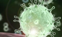 കൊവിഡ് നിരീക്ഷണത്തിലുണ്ടായിരുന്നയാള്‍ അക്രമാസക്തനായി