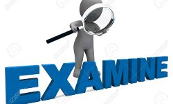 സ്‌പെഷ്യല്‍ സ്‌ക്വാഡുകള്‍ പരിശോധന ശക്തമാക്കി; 184 സ്ഥാപനങ്ങള്‍ക്ക് നോട്ടീസ്