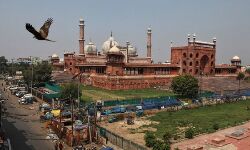 കൊവിഡ് 19: ഇന്ത്യയില്‍ മരണം ഒമ്പതായി; രോഗബാധിതര്‍ 467 ആയി