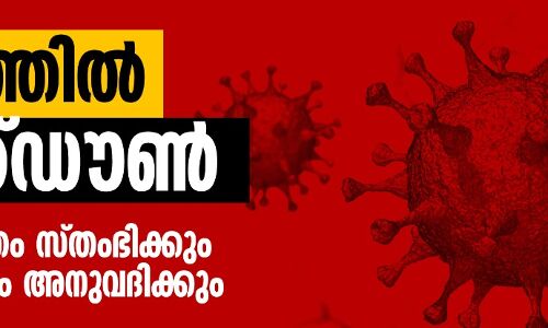 കൊവിഡ് 19: കേരളത്തിൽ മാര്‍ച്ച് 31 വരെ ലോക്ക്ഡൗണ്‍