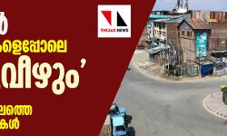 ഞങ്ങള്‍ കന്നുകാലികളെപ്പോലെ മരിച്ചുവീഴും; കൊറോണക്കാലത്തെ കശ്മീര്‍ കാഴ്ചകള്‍