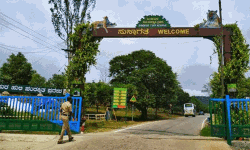 ലോക്ക് ഡൗണ്‍: 200 ലേറെ മലയാളികള്‍ ബന്ദിപ്പൂര്‍ ചെക്‌പോസ്റ്റില്‍ കുടുങ്ങി