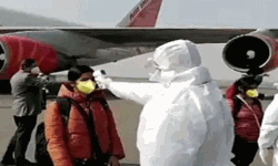 ഇറാനില്‍ കുടുങ്ങിയ 277 ഇന്ത്യക്കാരെ തിരിച്ചെത്തിച്ചു