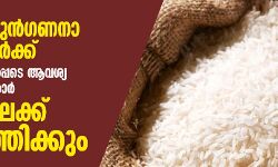 15 കിലോ അരി ഉൾപ്പടെ ആവശ്യ സാധനങ്ങൾ സർക്കാർ വീടുകളിലേക്ക് നേരിട്ടെത്തിക്കും