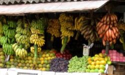 കൊവിഡ് 19 : അവശ്യവസ്തുക്കളുടെ വില്‍പ്പനയ്ക്ക് പാസ്സ് നിര്‍ബന്ധമാക്കി