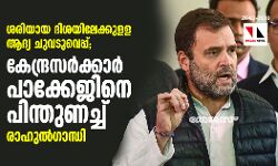 ശരിയായ ദിശയിലേക്കുളള ആദ്യ ചുവടുവെപ്പ്; കേന്ദ്രസര്‍ക്കാര്‍ പാക്കേജിനെ പിന്തുണച്ച് രാഹുല്‍ഗാന്ധി