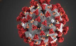 ഇടുക്കി ബ്ലോക്ക് പഞ്ചായത്ത് മുന്‍ പ്രസിഡന്റിന് കൊറോണ; നിയമസഭ സന്ദര്‍ശിച്ചു?