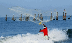 കൊറോണ: മല്‍സ്യമേഖലയിലെ നിയന്ത്രണം ഒഴിവാക്കരുതെന്ന് ധീവരസഭ