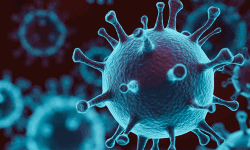 കോഴിക്കോട് കൊവിഡ് സ്ഥിരീകരിച്ചയാളുടെ റൂട്ട് മാപ്പ്