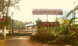 കൊവിഡ്: തമിഴ്‌നാട്ടില്‍ നിന്ന് കോഴിത്തീറ്റയെത്തുന്നില്ല; സര്‍ക്കാരിന്റെ പ്രഥമ ഫാക്ടറി ഇപ്പോഴും പ്രവര്‍ത്തനസജ്ജമായില്ല