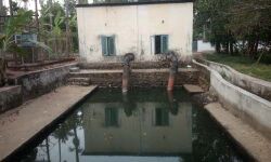 അഷ്ടമിച്ചിറ ലിഫ്റ്റ് ഇറിഗേഷന്റെ പ്രവര്ത്തനം നിലച്ചു; പദ്ധതി പ്രദേശങ്ങള് കുടിവെള്ളക്ഷാമത്തിലേക്ക് അഷ്ടമിച്ചിറ ലിഫ്റ്റ് ഇറിഗേഷന്റെ പ്രവര്ത്തനം നിലച്ചു; പദ്ധതി പ്രദേശങ്ങള് കുടിവെള്ളക്ഷാമത്തിലേക്ക്