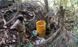 തെന്‍മലയില്‍ വനത്തില്‍ സൂക്ഷിച്ച 100 ലിറ്റര്‍ കോട വനപാലകര്‍ നശിപ്പിച്ചു